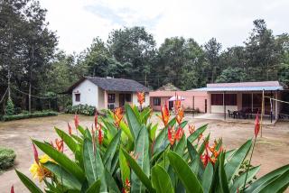 Madhu Giri Stay - Chikmagalūr - 0