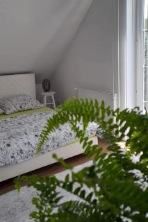 Pokoje Gościnne u Marka - Kostrzyca - 6