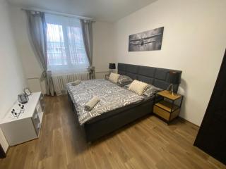 Černá Růže - Apartmán 3 - Plzeň - 5