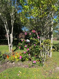 Greenfern Lodge and Chalets - 5