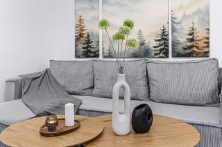 Tampa Sunshine Apartment - Braşov - 2