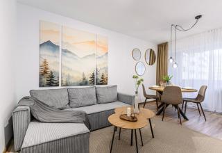 Tampa Sunshine Apartment - Braşov - 8