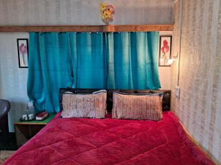 Conifer view guest house - Tangmarg - 4