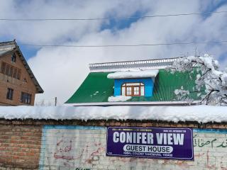 Conifer view guest house - Tangmarg - 3