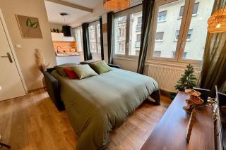Nice T2 in the heart of the Poincaré district - Strasburgo - 5