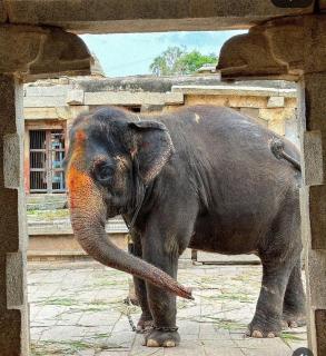 VAIBHAV HOME STAY - Hampi - 1