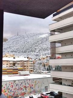 Tampa Sunshine Apartment - Free Private Parking - 6