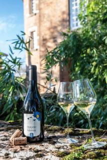 Château de Salornay - Hurigny - 3