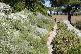Sweet Tuscany - 4