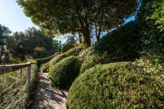 Sweet Tuscany - Capalbio - 3