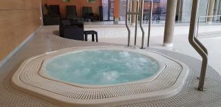 Horský Apartmán Wellness Hotel Říčky - Říčky - 8