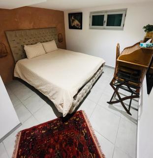 Chic and Peaceful apartment Roissy Charles de Gaulle Airport 15mins-Parc des Expositions Villepinte 10mins- Disneyland 30mins - Tremblay-en-France - 1