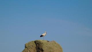 La Silla de la Reina - Navarredonda de Gredos - 1