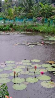 Beehive staycations - Ambalavayal - 7