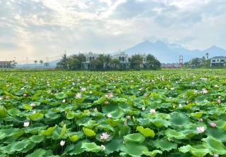 Lotus Hotel Vuon Vua Phu Tho - 1