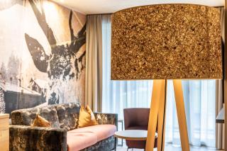 Hotel zum Schwanen - Appartement 1 - Pflach - 9