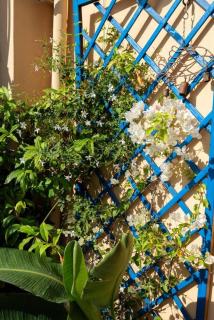 Bella Vista Sant Orsula 2 bedroom View Terrace Historic Center Spacious Apartment - Termini Imerese - 7