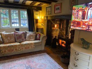 500 yr old Cottage with historic park at the gate - 6