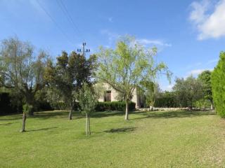 Agroturismo Roqueta - Maria de la Salut - 7