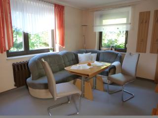 Gemütliche Ferienwohnung in Holzhau - Holzhau - 4