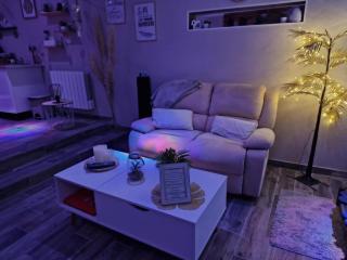 Studio avec jacuzzi , terrasse amenagée et wifi à Westrehem - Westrehem - 0