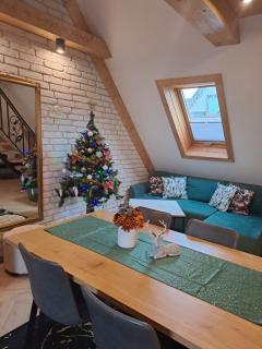 Apartamenty U Paliderki - 2