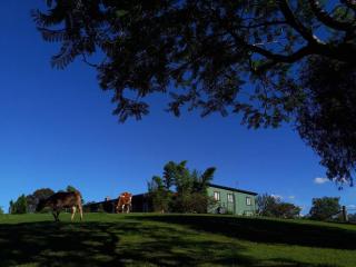Maison de Lavande Farmstay - - 9