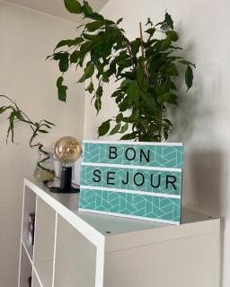 Très joli T1 à Lambezellec avec parking gratuit - 7