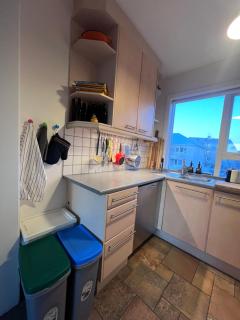 Homely flat with amazing views - Reykjavik - 7