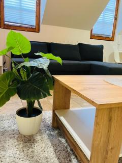 Downtown Apartments DeLuxe - Győr - 6