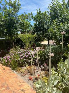 Serene loft apartment - Kaapstad - 2