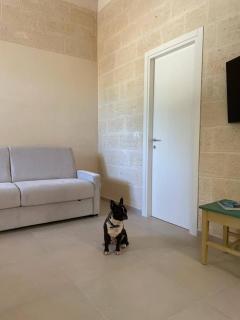 La Casa del Mandorlo - 1