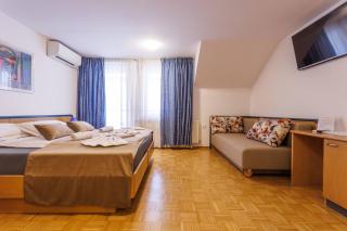 Hotel Vegov Hram - Dol pri Ljubljani - 7