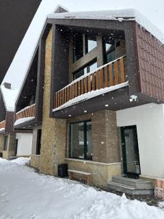 Mount Villa Bakuriani - Bakoerjani - 9