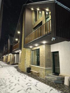 Mount Villa Bakuriani - Bakoerjani - 7