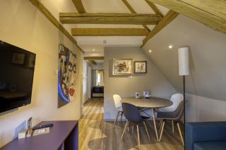AD1716 Apartments - Marktheidenfeld - 3