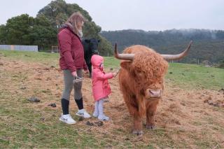 Ruby's Cottage Farm Stay - Port Arthur - 5