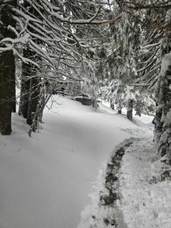 Apartma Rogla Gaber 63 - 2