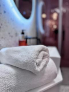 Apartament Stroma Zacisze Leśne B2 - Szczyrk - 7