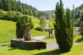 Gästehaus Absbachtal - Bad Rippoldsau-Schapbach - 9