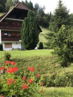 Gästehaus Absbachtal - Bad Rippoldsau-Schapbach - 4