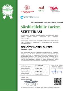 Felicity Palace Sirkeci - Istanbul - 7