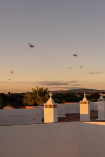 Outsite Vilamoura - Quarteira - 4