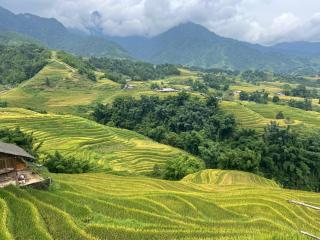 Mama Gia Homestay - Sapa - 1