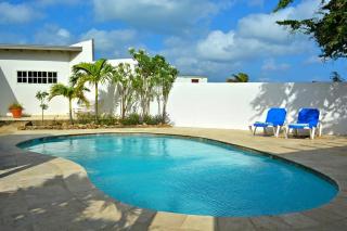 Parrot Villa - Stunning vacation home near Eagle Beach - Palm-Eagle Beach - 9