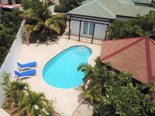 Parrot Villa - Stunning vacation home near Eagle Beach - Palm-Eagle Beach - 7