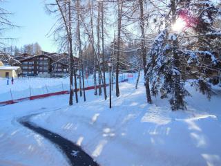 Studio divisible 4 pers, animaux admis, centre station La Plagne - FR-1-353-90 - La Plagne Tarentaise - 1