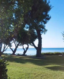 Dolphinian House - 2