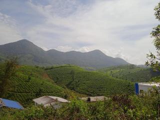 Tea Haven homestay - Vagamon - 9