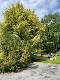Woodland Cottage - 9
